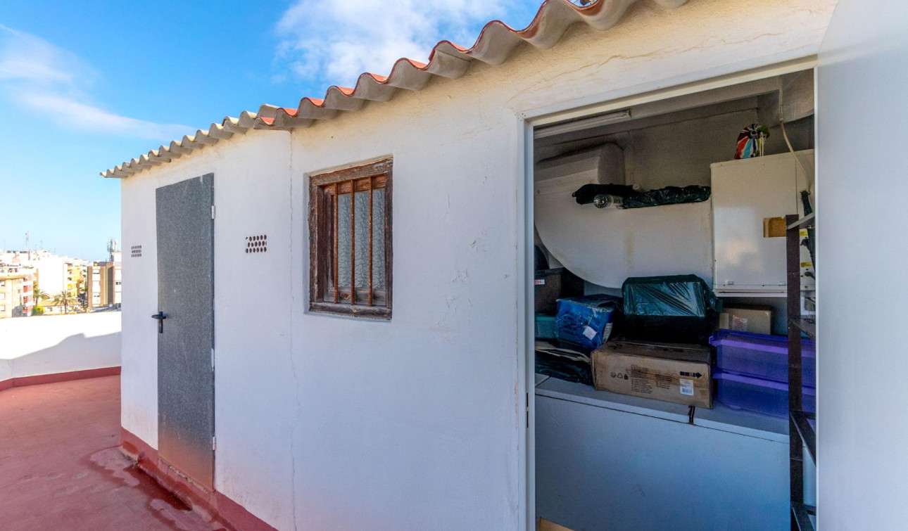 Revente - Appartement - Torrevieja - torrevieja