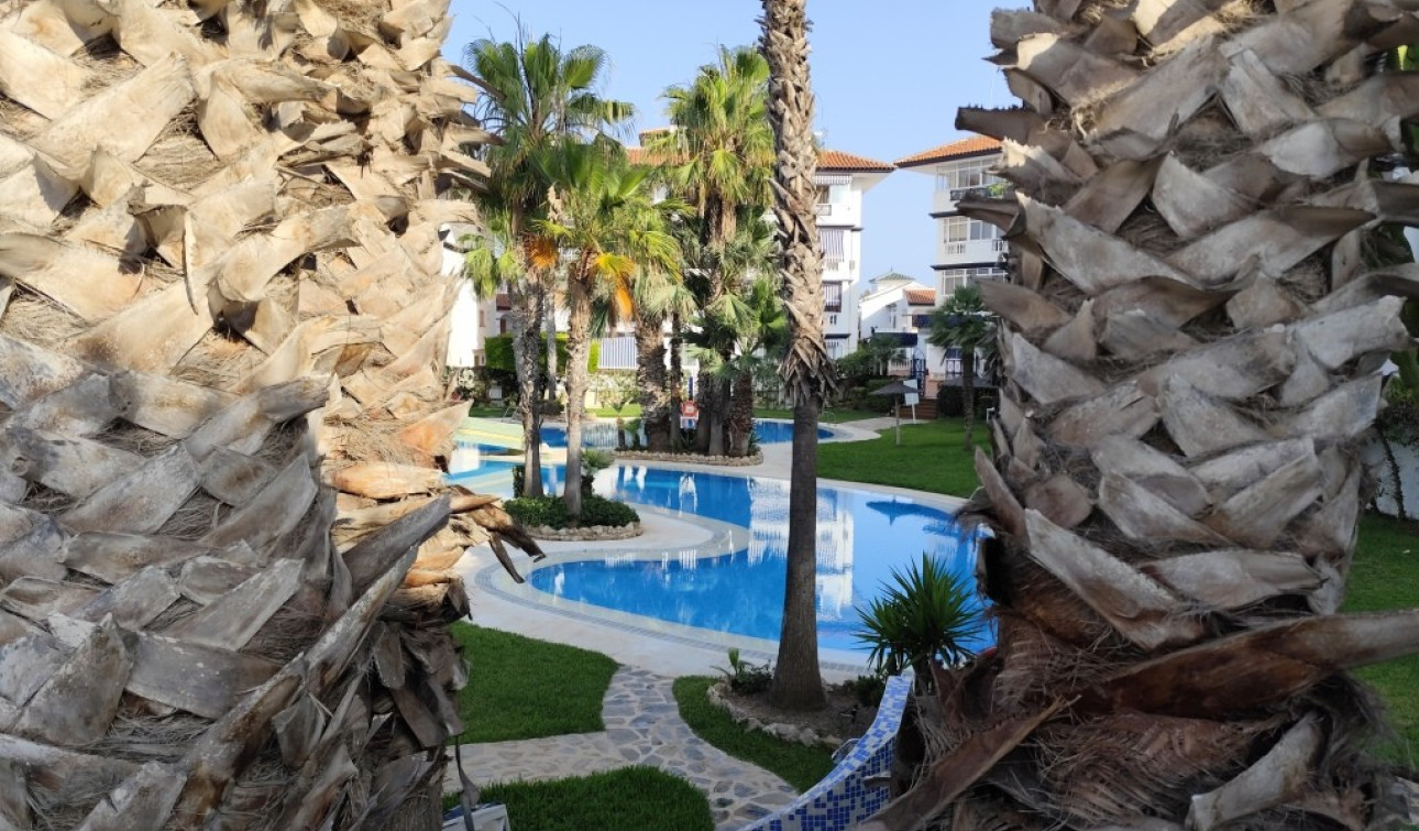 Revente - Appartement - Torrevieja