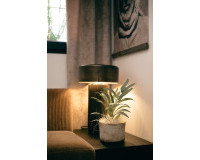 Revente - Appartement - Torrevieja