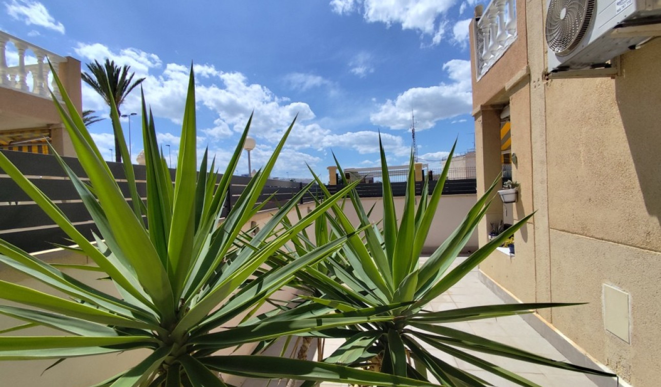 Revente - Appartement - Torrevieja