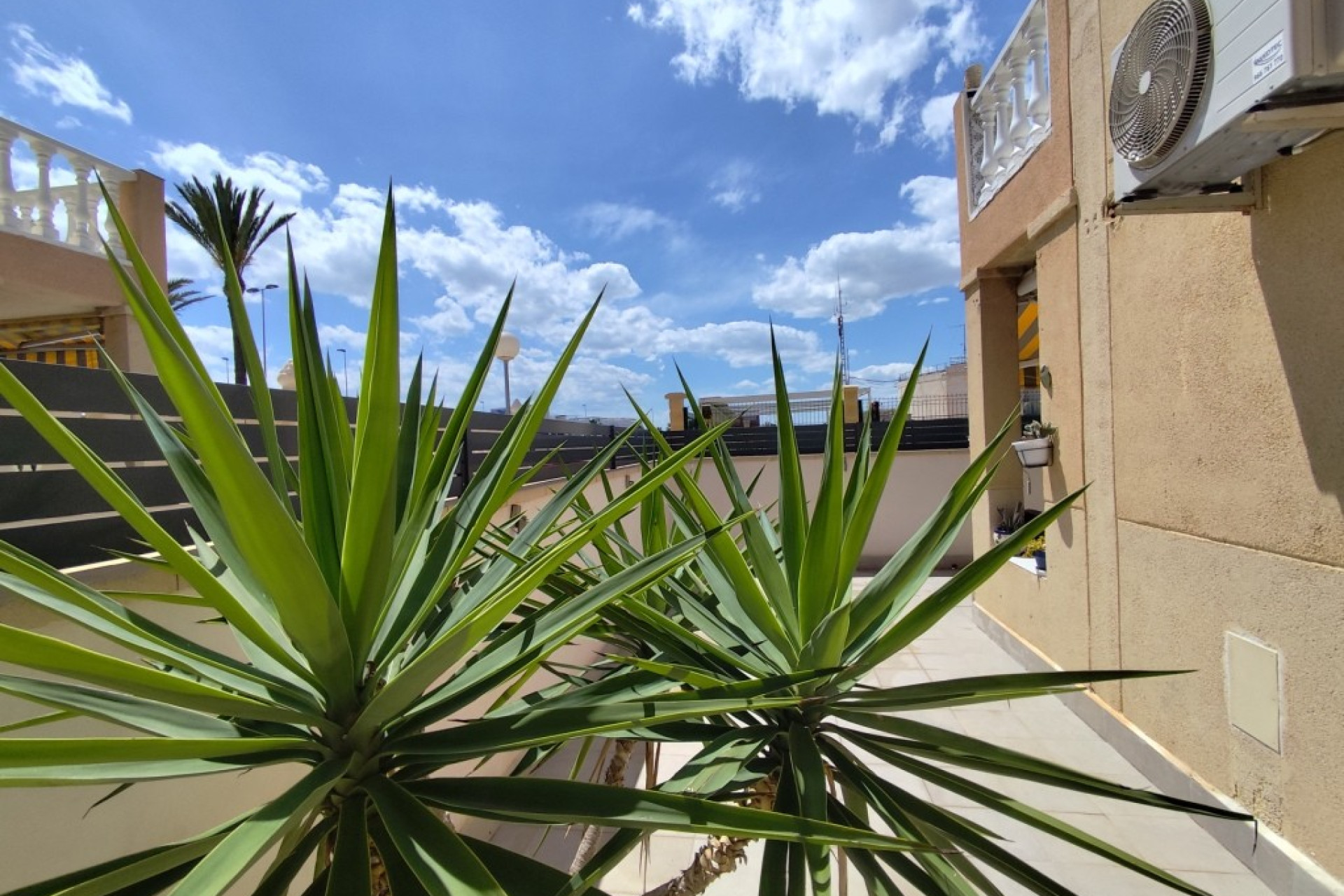 Revente - Appartement - Torrevieja