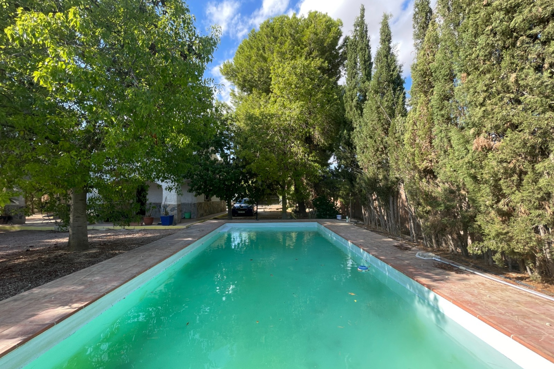 Revente - Finca / Propriété de campagne - Albatera