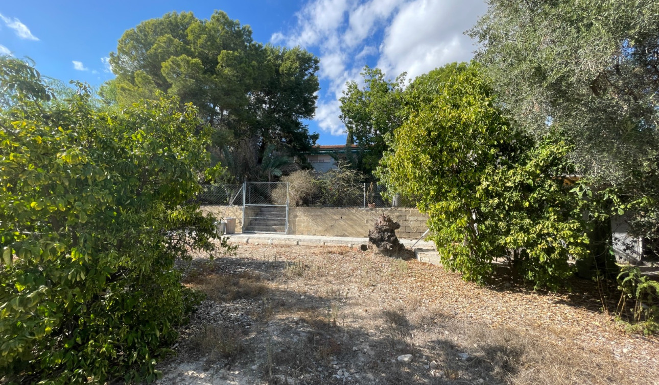 Revente - Finca / Propriété de campagne - Albatera