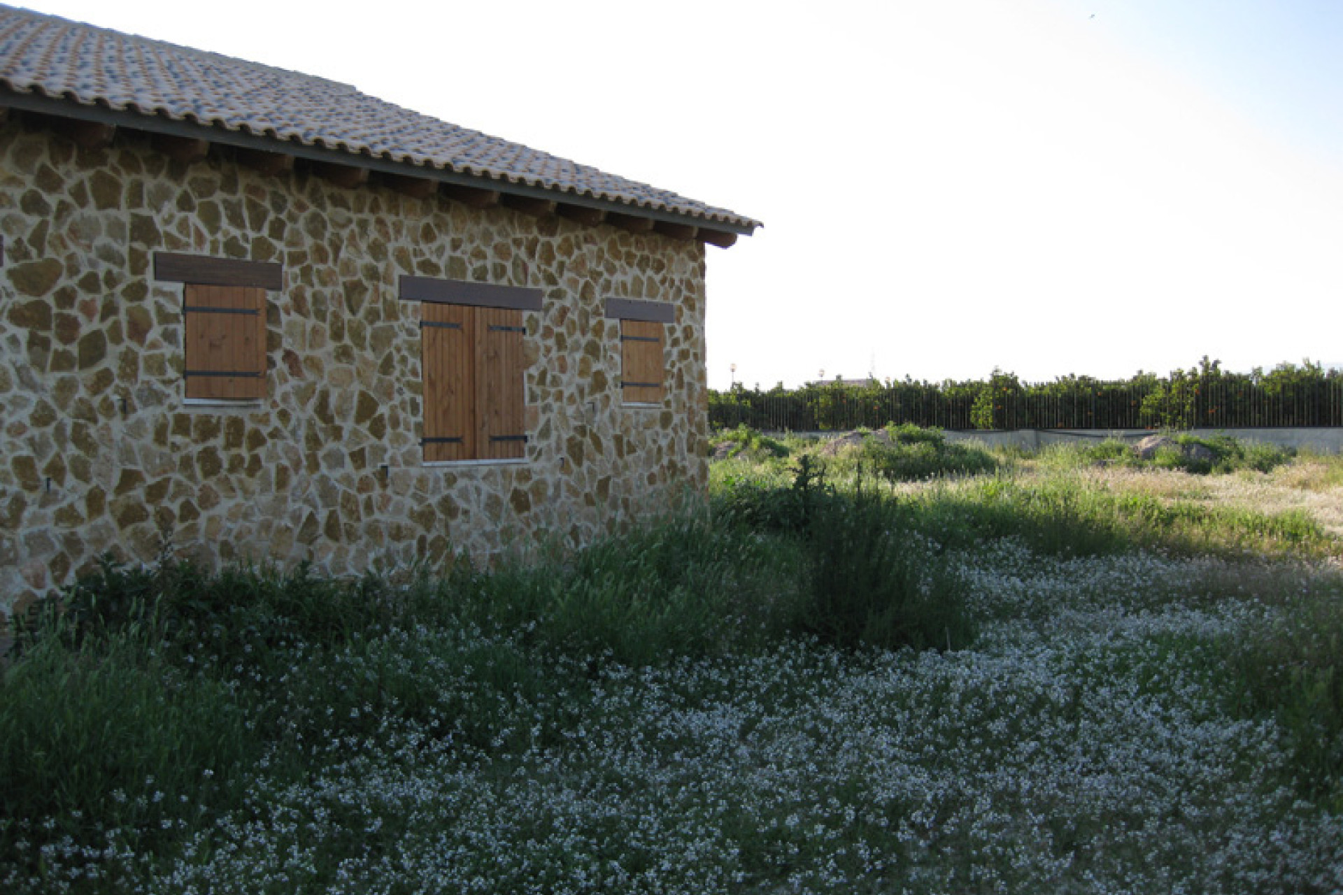 Revente - Finca / Propriété de campagne - Benferri
