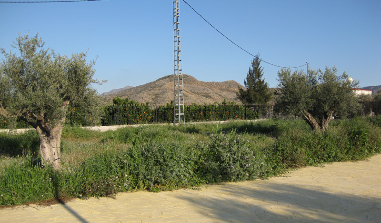 Revente - Finca / Propriété de campagne - Benferri