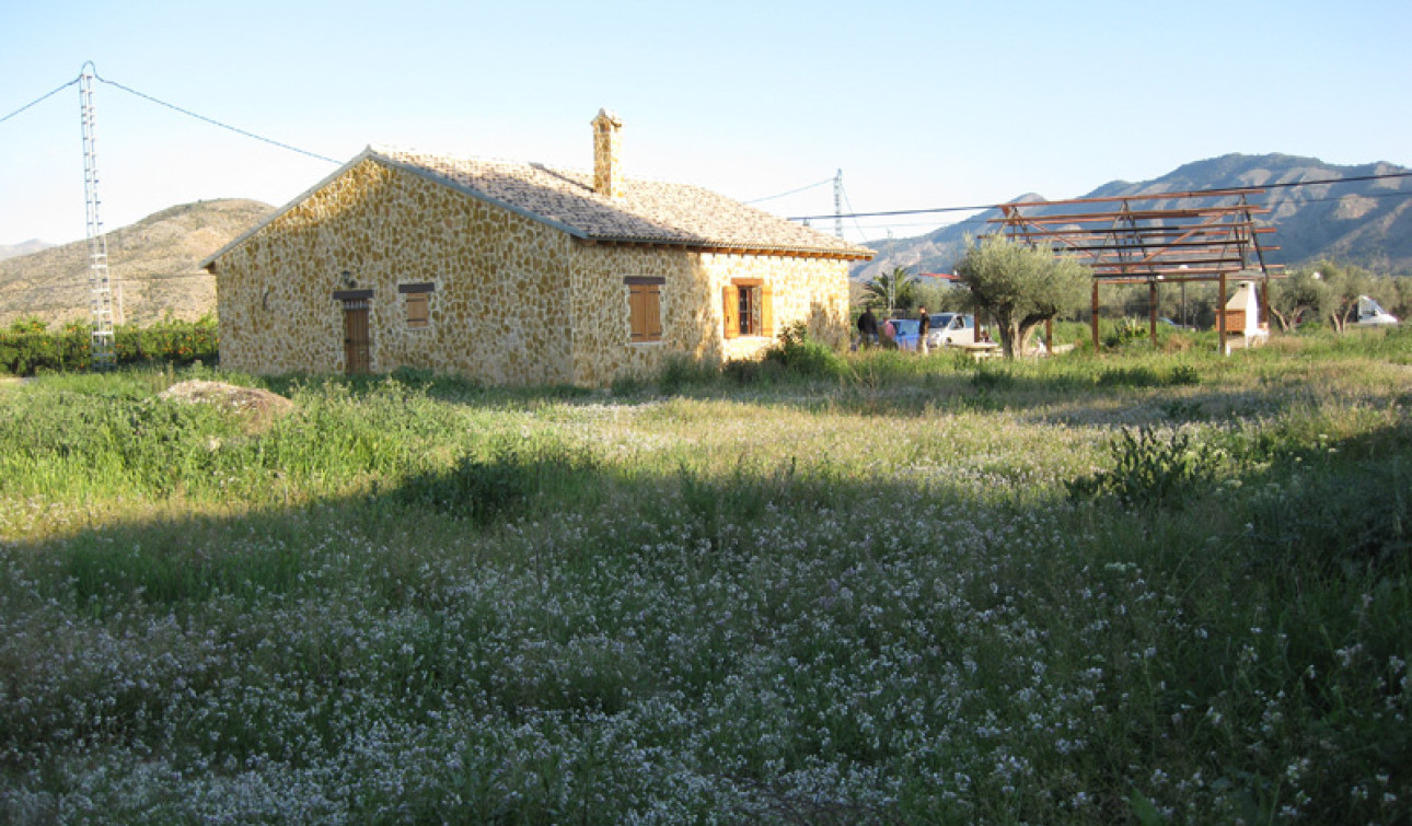 Revente - Finca / Propriété de campagne - Benferri
