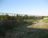 Revente - Finca / Propriété de campagne - Benferri
