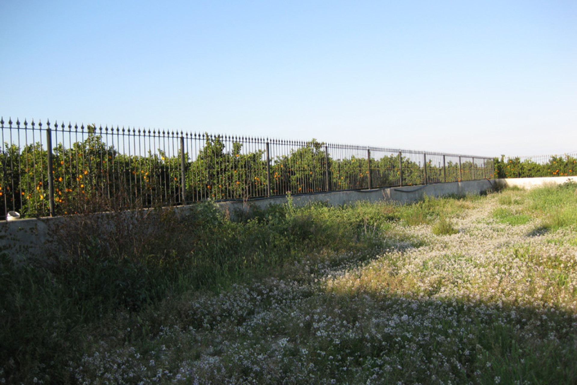 Revente - Finca / Propriété de campagne - Benferri