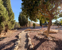 Revente - Finca / Propriété de campagne - Crevillente