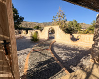 Revente - Finca / Propriété de campagne - Crevillente