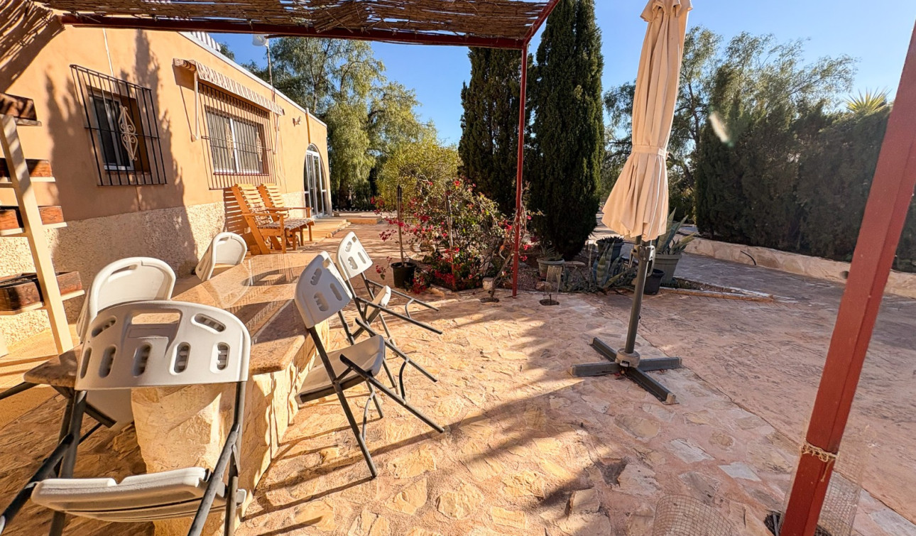 Revente - Finca / Propriété de campagne - Crevillente