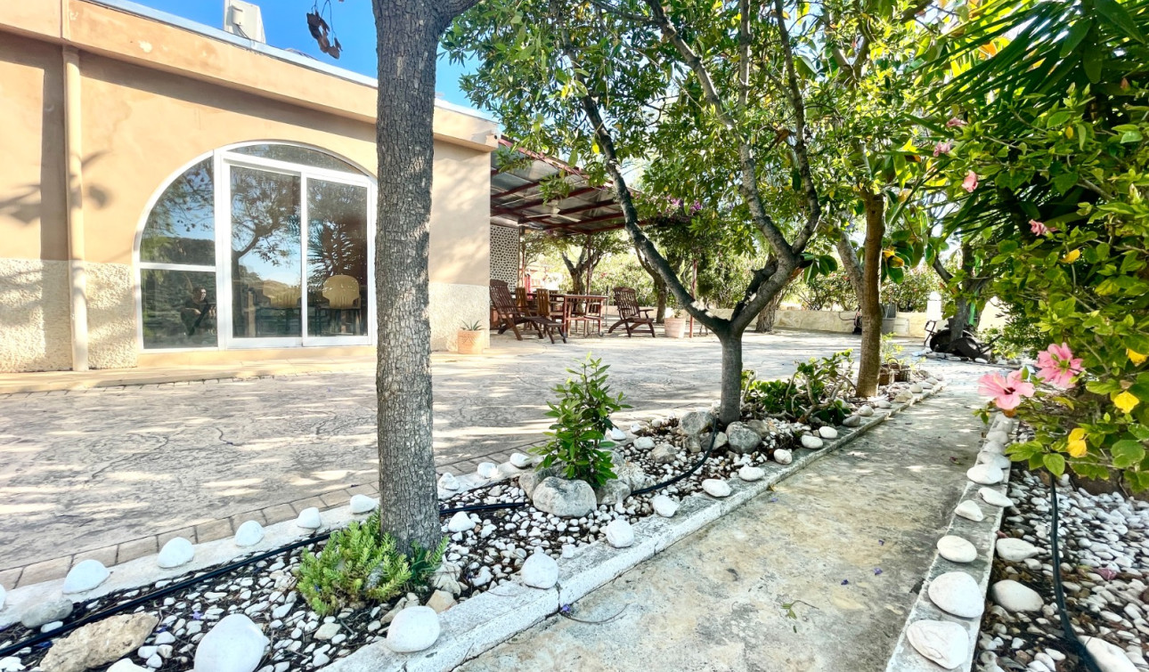 Revente - Finca / Propriété de campagne - Crevillente