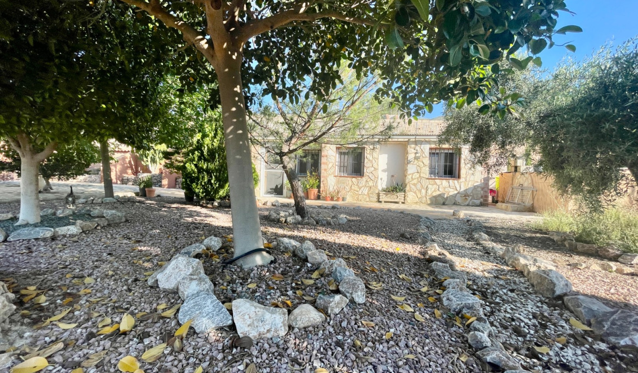 Revente - Finca / Propriété de campagne - Crevillente