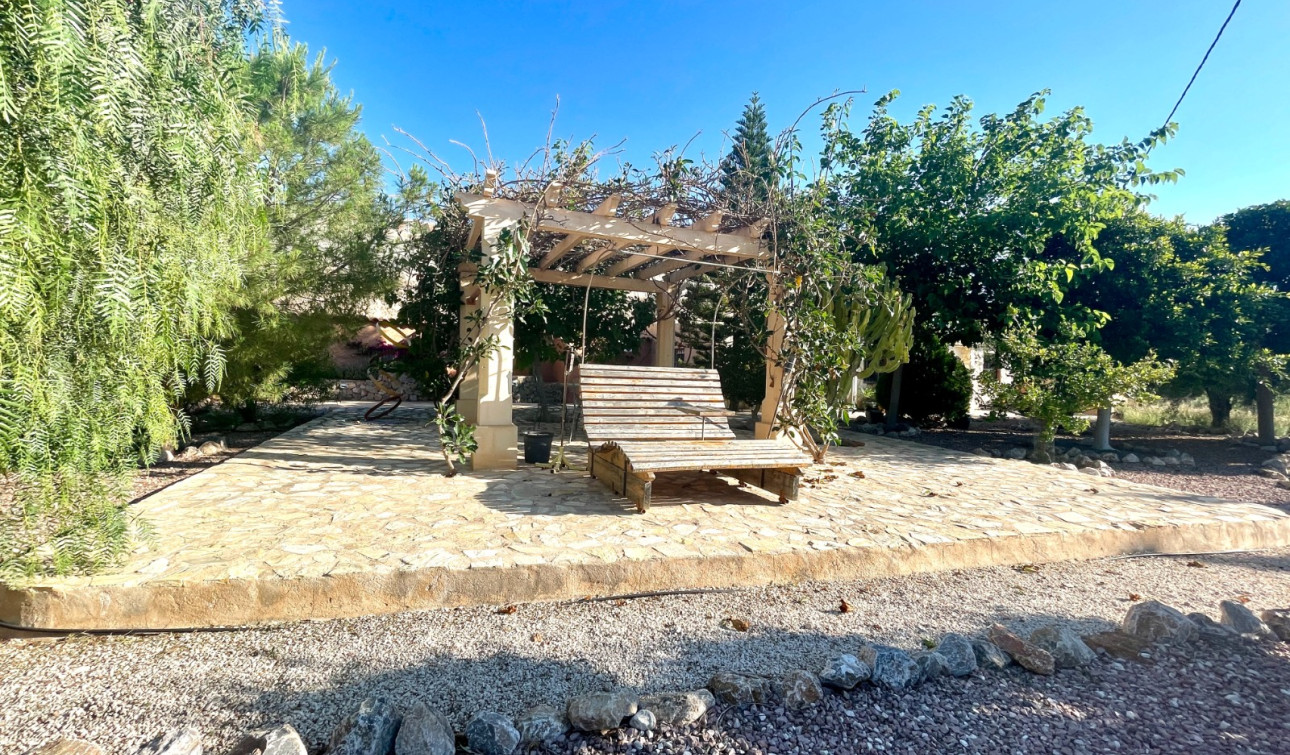 Revente - Finca / Propriété de campagne - Crevillente