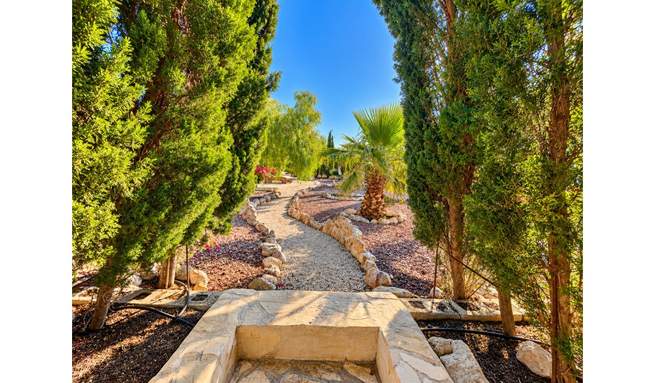 Revente - Finca / Propriété de campagne - Crevillente