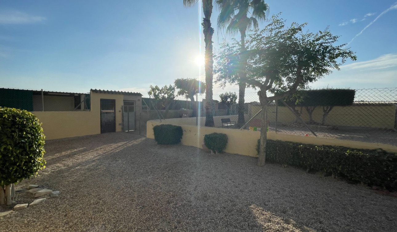 Revente - Finca / Propriété de campagne - Elche - Las Bayas