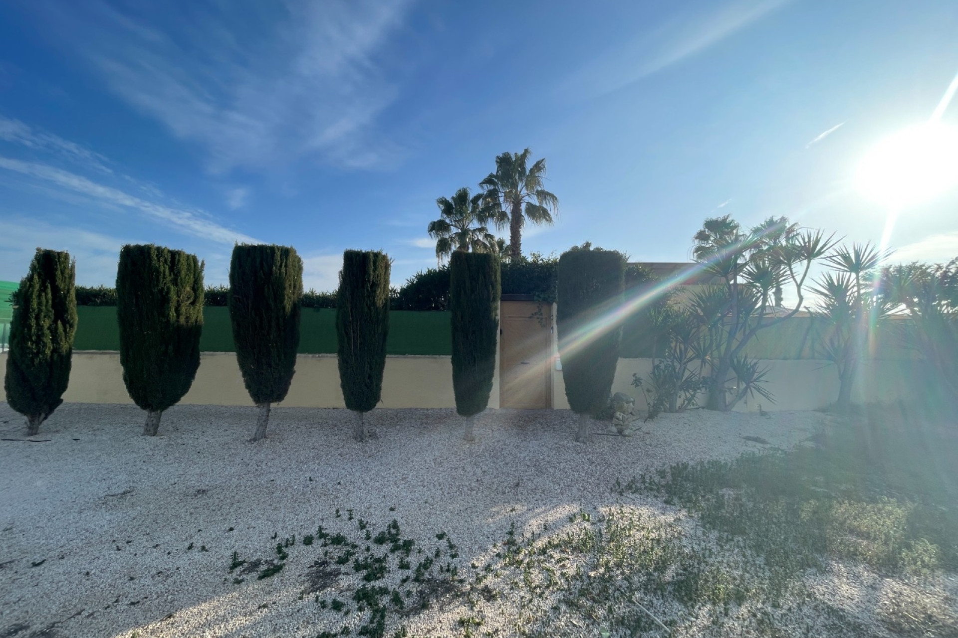 Revente - Finca / Propriété de campagne - Elche - Las Bayas