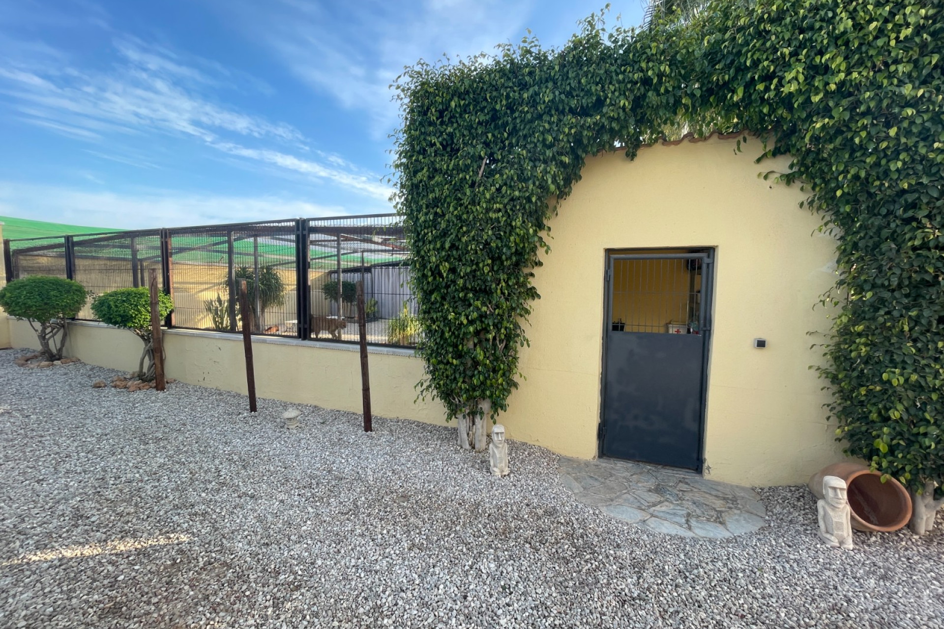 Revente - Finca / Propriété de campagne - Elche - Las Bayas