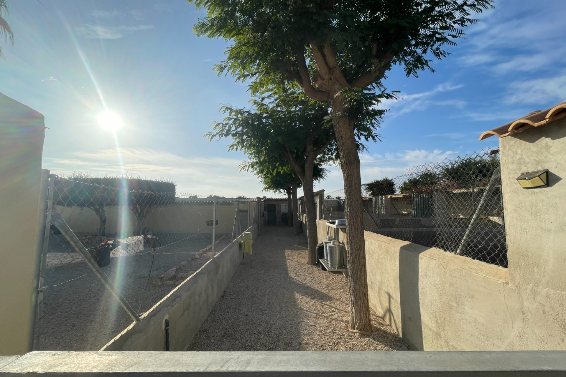 Revente - Finca / Propriété de campagne - Elche - Las Bayas