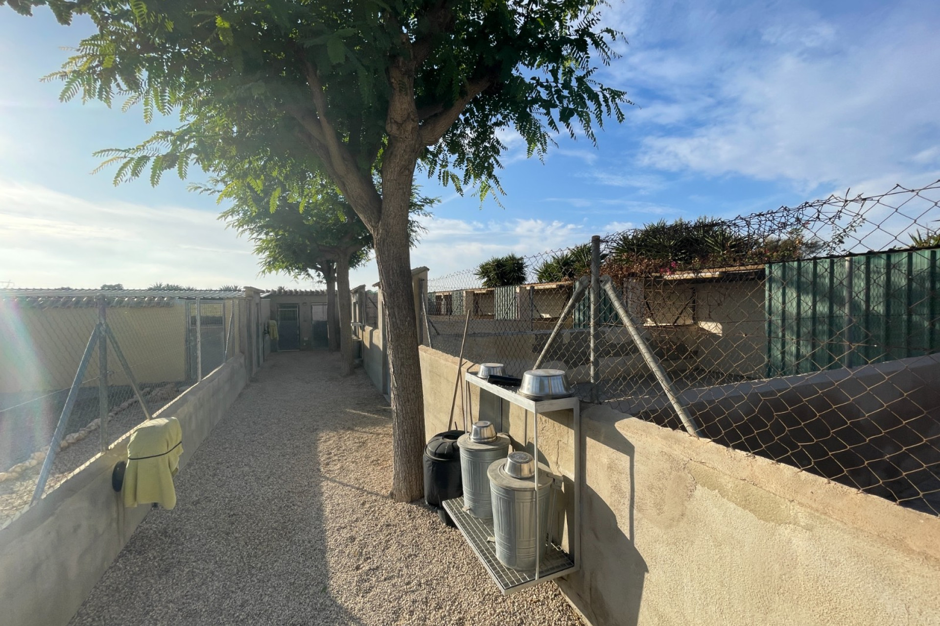 Revente - Finca / Propriété de campagne - Elche - Las Bayas