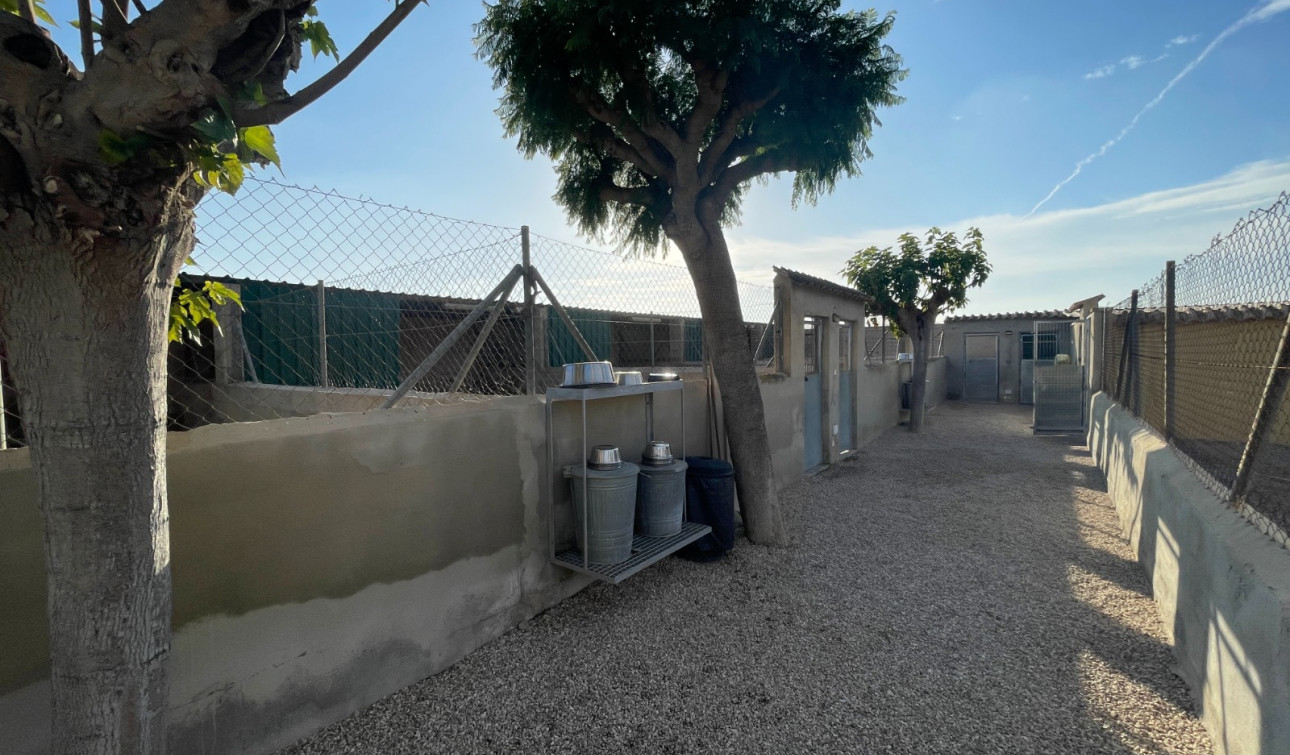 Revente - Finca / Propriété de campagne - Elche - Las Bayas