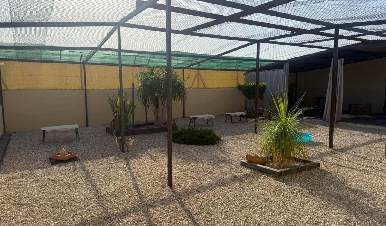 Revente - Finca / Propriété de campagne - Elche - Las Bayas