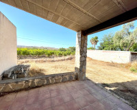 Revente - Finca / Propriété de campagne - Elche - Matola