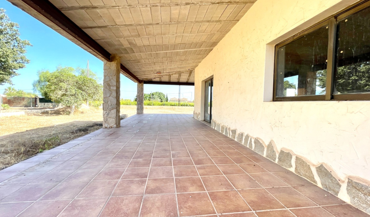 Revente - Finca / Propriété de campagne - Elche - Matola