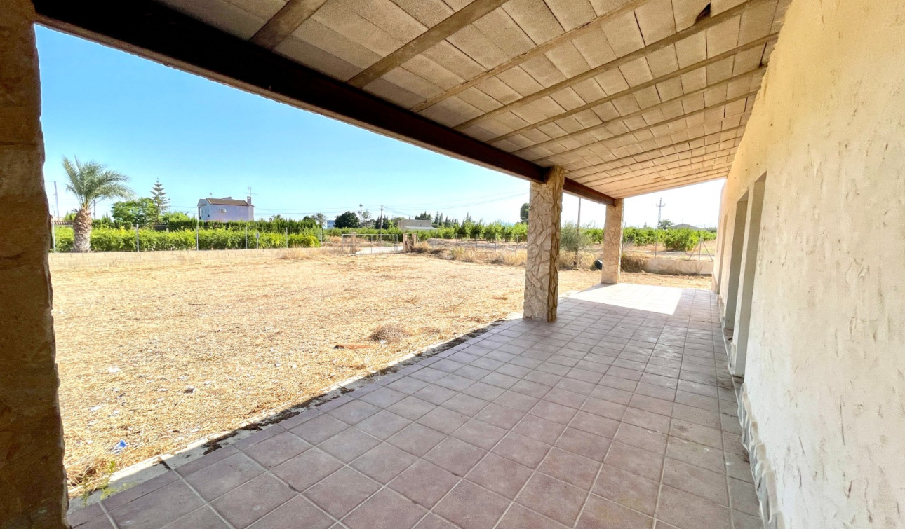 Revente - Finca / Propriété de campagne - Elche - Matola