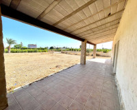 Revente - Finca / Propriété de campagne - Elche - Matola