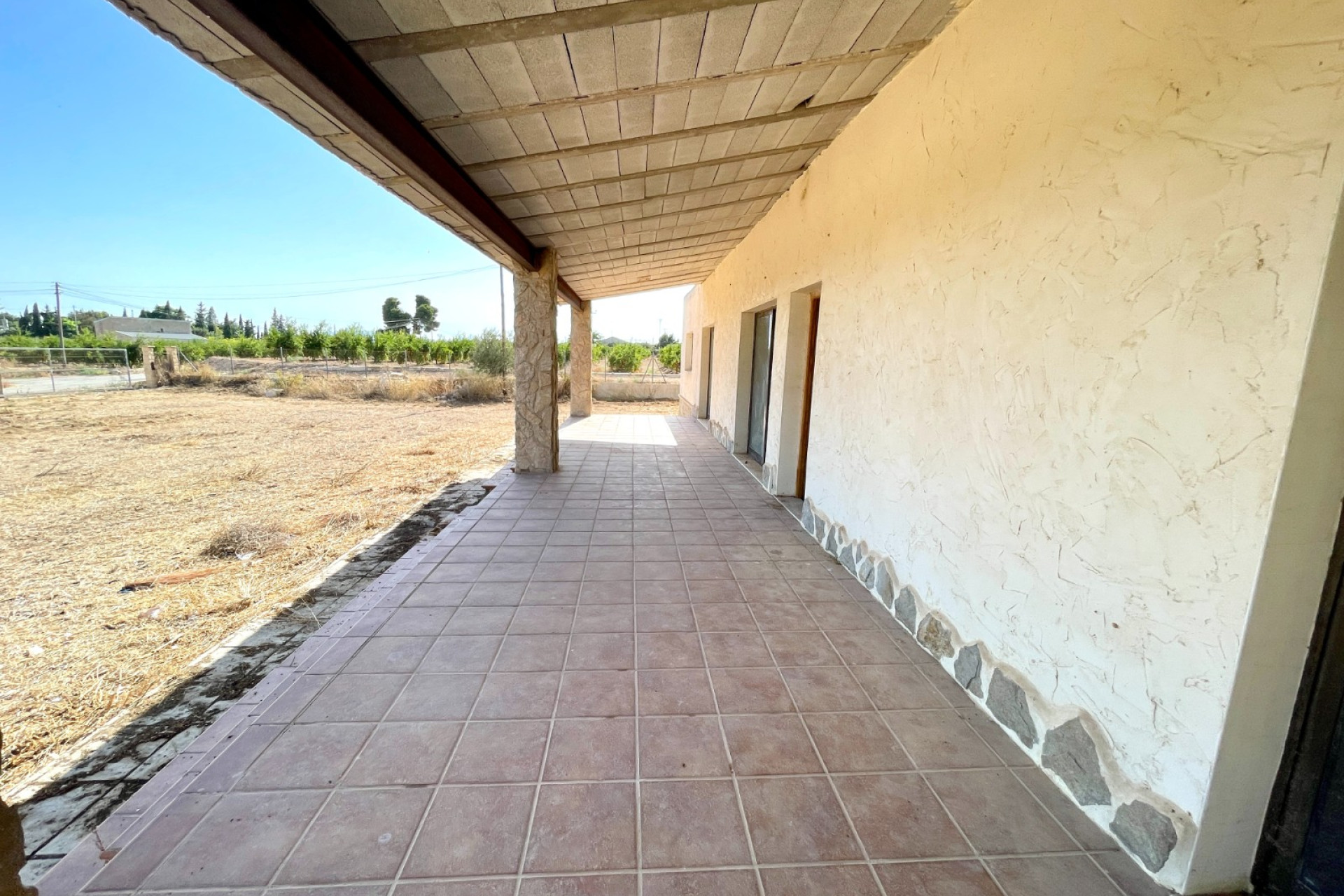 Revente - Finca / Propriété de campagne - Elche - Matola
