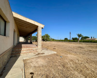 Revente - Finca / Propriété de campagne - Elche - Matola