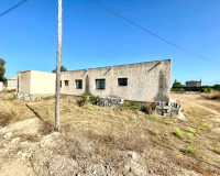 Revente - Finca / Propriété de campagne - Elche - Matola