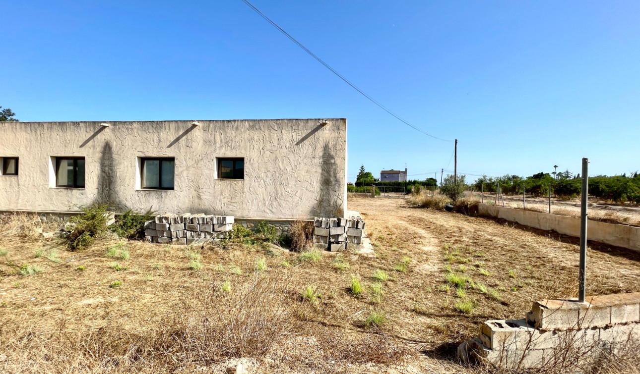 Revente - Finca / Propriété de campagne - Elche - Matola