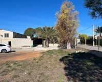 Revente - Finca / Propriété de campagne - Elche