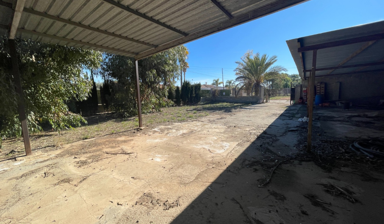 Revente - Finca / Propriété de campagne - Elche