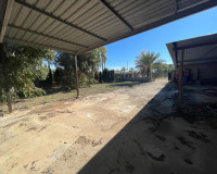 Revente - Finca / Propriété de campagne - Elche