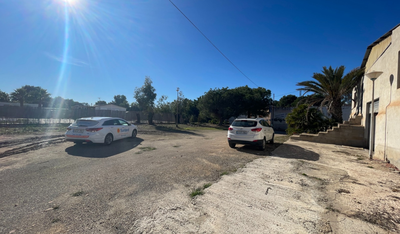 Revente - Finca / Propriété de campagne - Elche