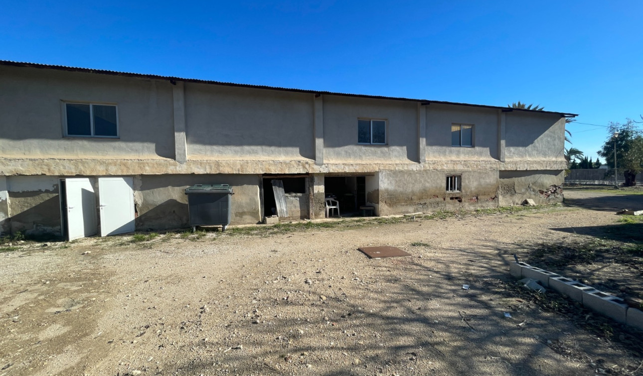 Revente - Finca / Propriété de campagne - Elche