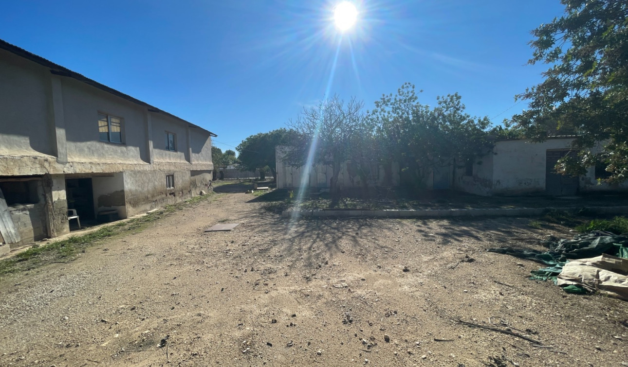 Revente - Finca / Propriété de campagne - Elche