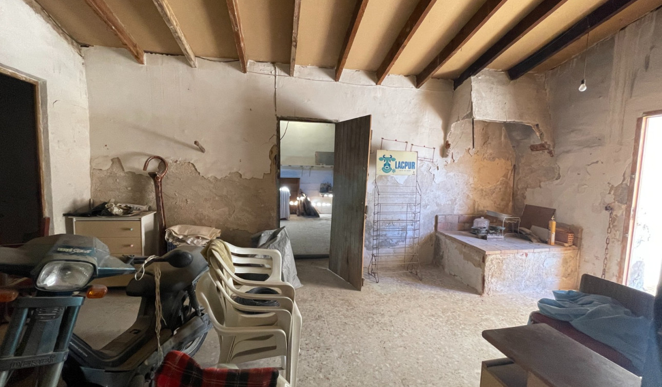 Revente - Finca / Propriété de campagne - Elche