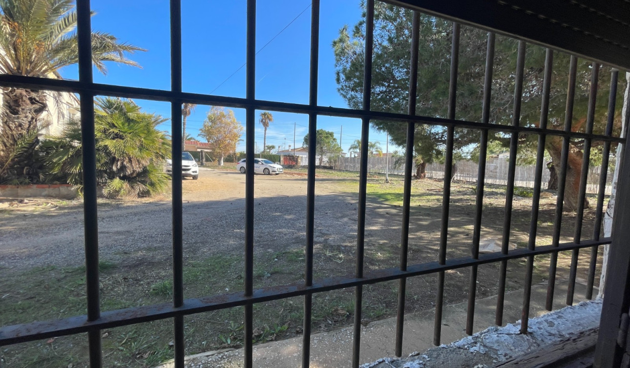 Revente - Finca / Propriété de campagne - Elche