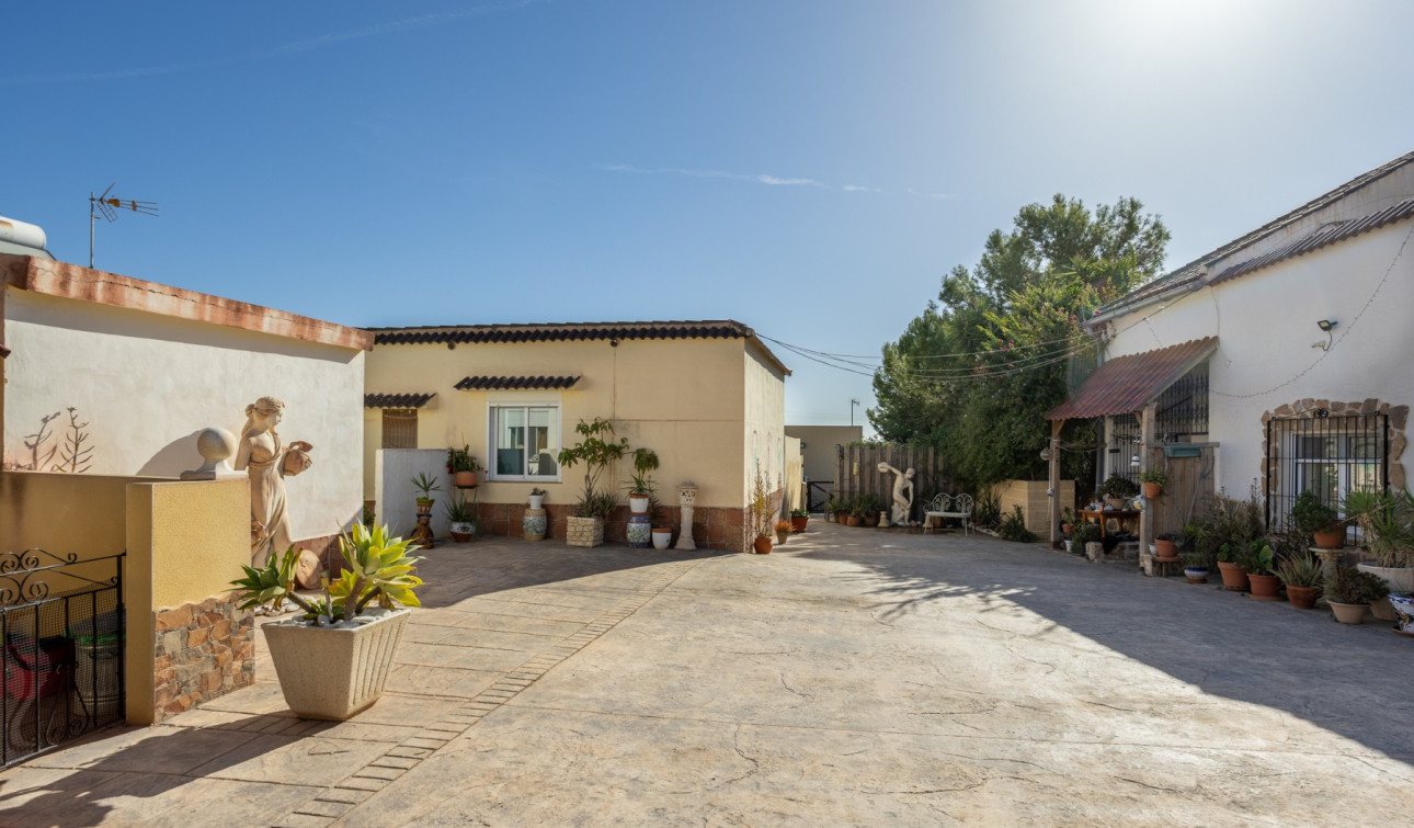 Revente - Finca / Propriété de campagne - Fortuna - Fortuna - Campo