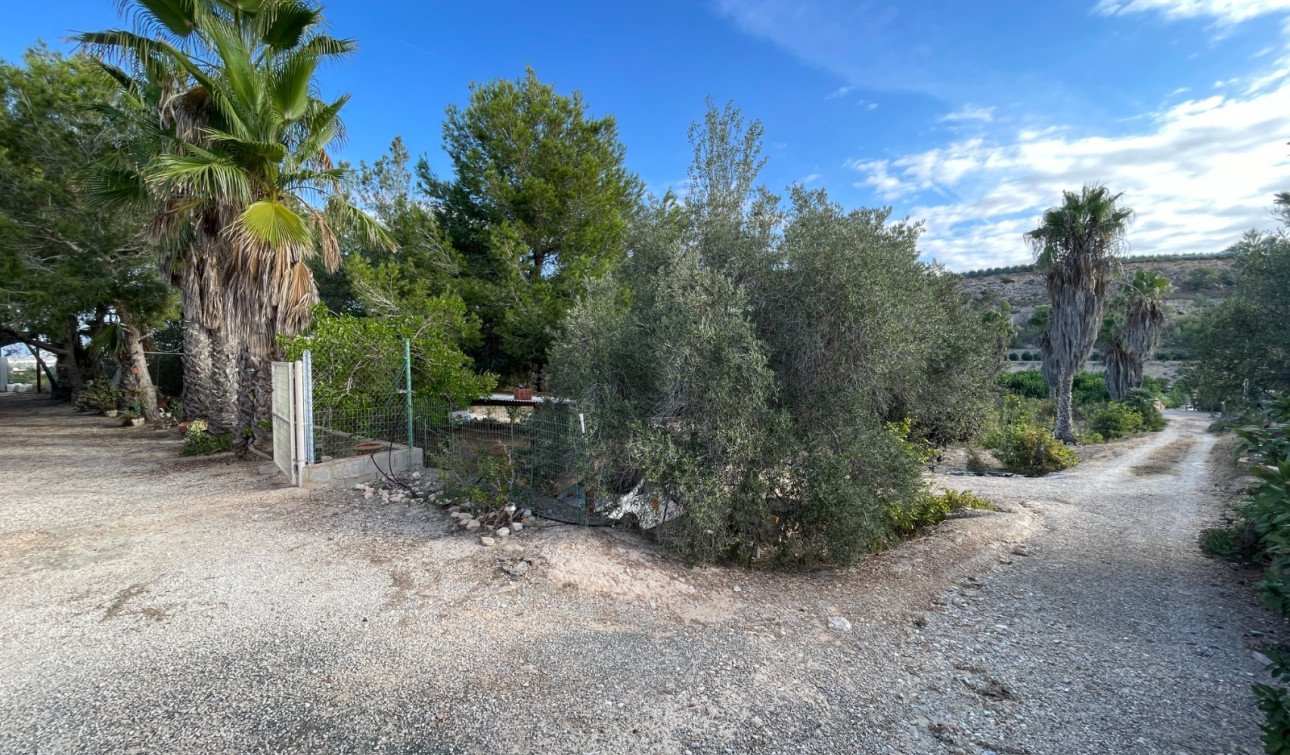 Revente - Finca / Propriété de campagne - Jacarilla