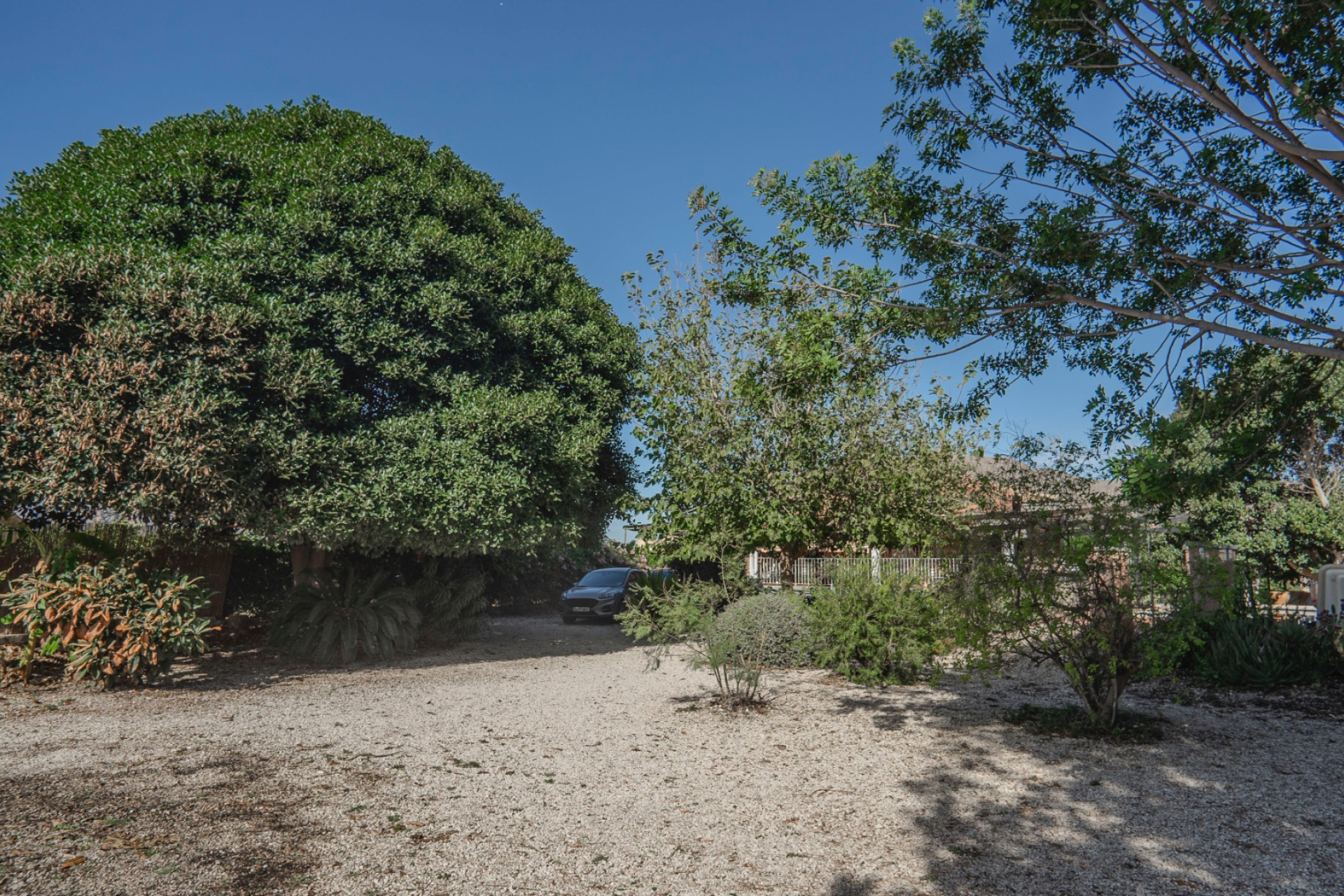Revente - Finca / Propriété de campagne - Orihuela Costa - San Bartolome