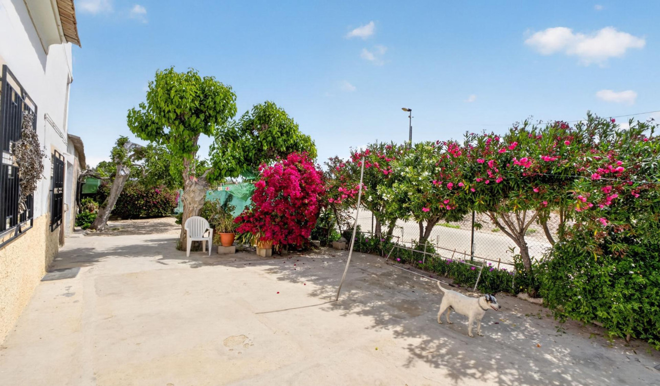Revente - Finca / Propriété de campagne - Orihuela - Desamparados-Hurchillo-Torremendo