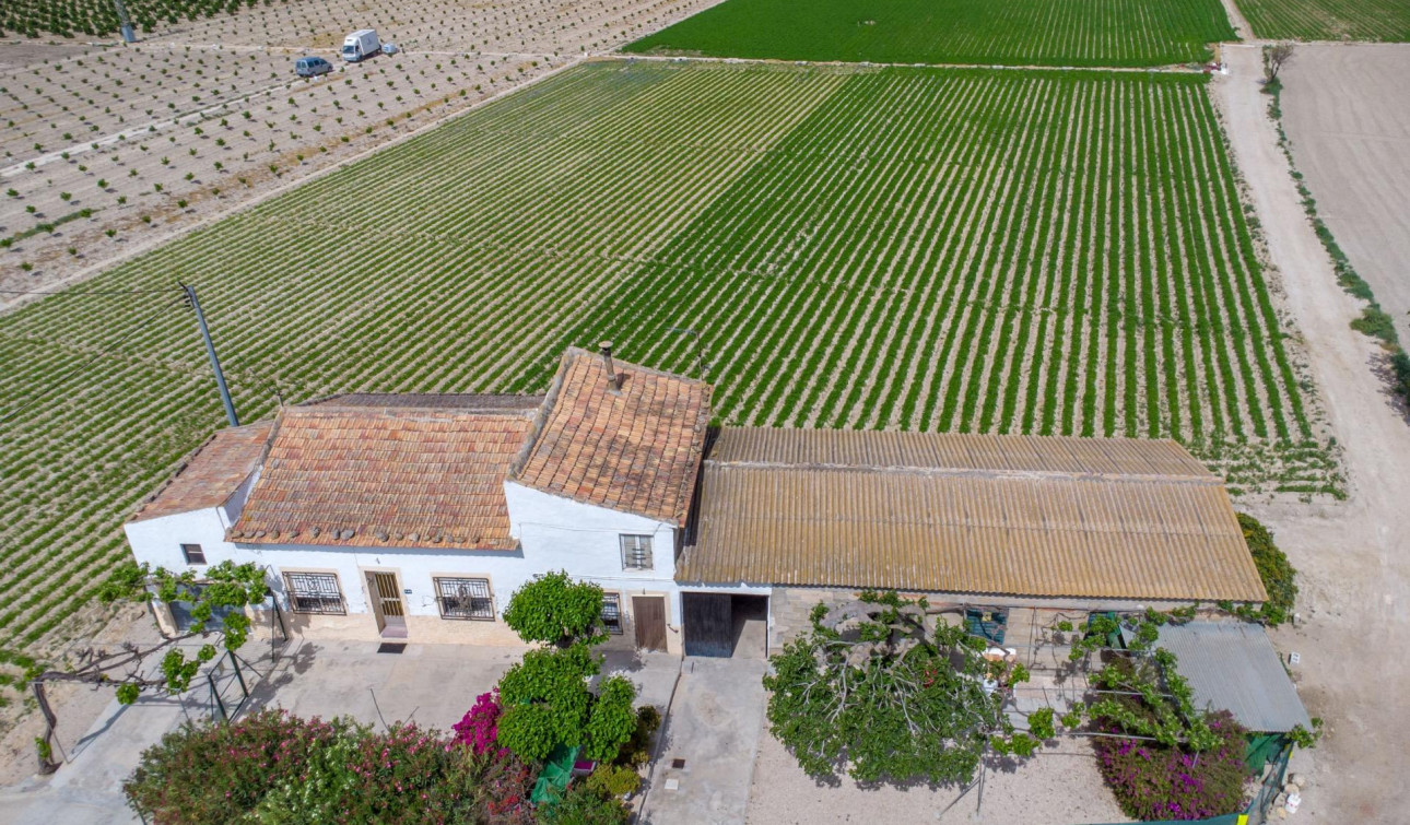 Revente - Finca / Propriété de campagne - Orihuela - Desamparados-Hurchillo-Torremendo