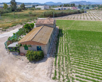 Revente - Finca / Propriété de campagne - Orihuela - Desamparados-Hurchillo-Torremendo