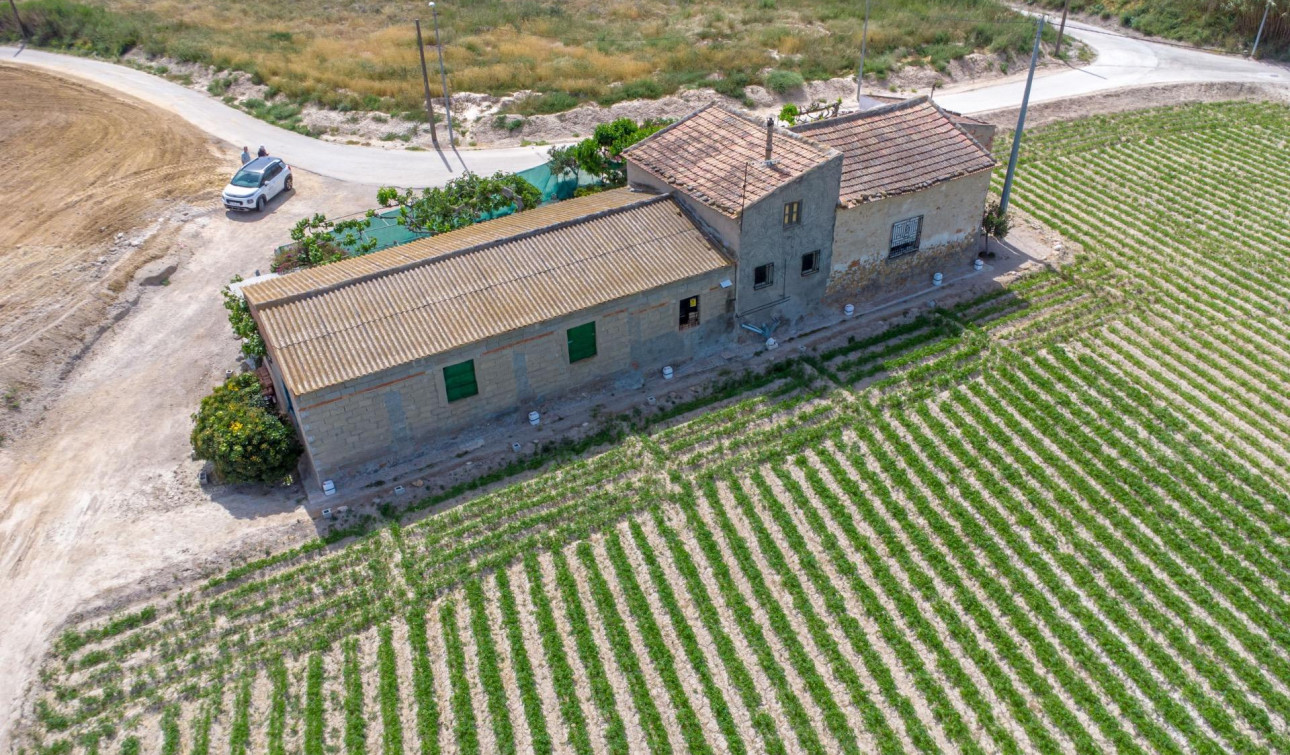 Revente - Finca / Propriété de campagne - Orihuela - Desamparados-Hurchillo-Torremendo