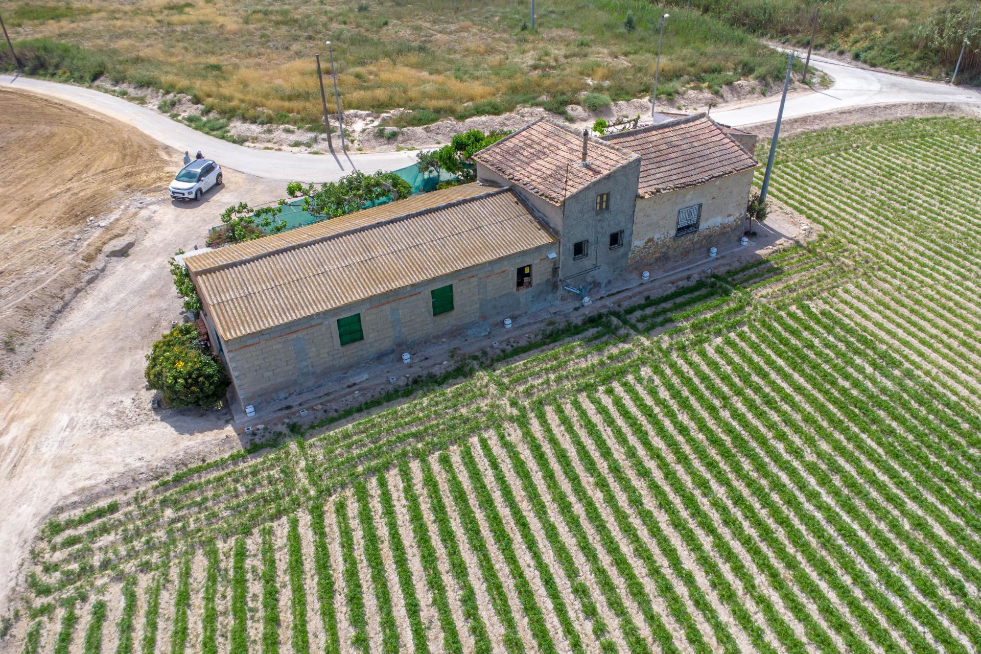 Revente - Finca / Propriété de campagne - Orihuela - Desamparados-Hurchillo-Torremendo